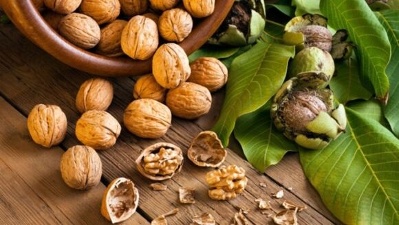 Walnuts, the use of which increases potency